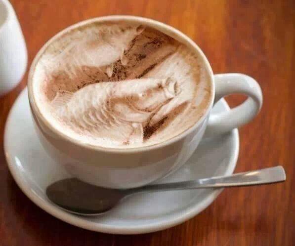 OMG - img165129005180531.jpeg